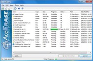 AceErase File Shredder History Eraser screenshot